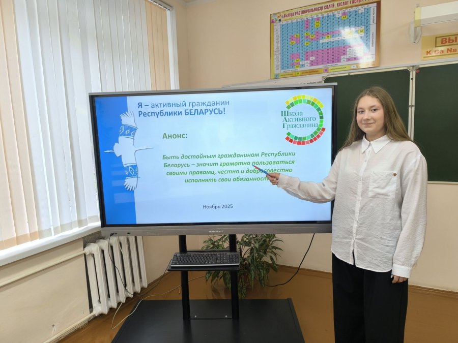 ШАГ по теме: «Быть достойным гражданином Республики Беларусь –значит чтить законы своего государства и брать на себя ответственность за будущее своей страны»