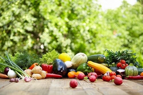 Основные правила обработки растительных продуктов.